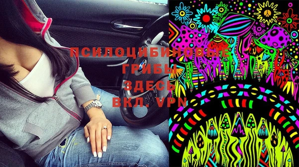 гашик Арсеньев