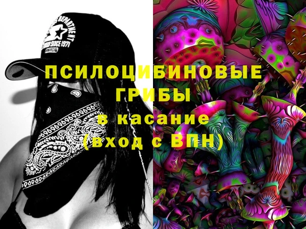 мет Алексин