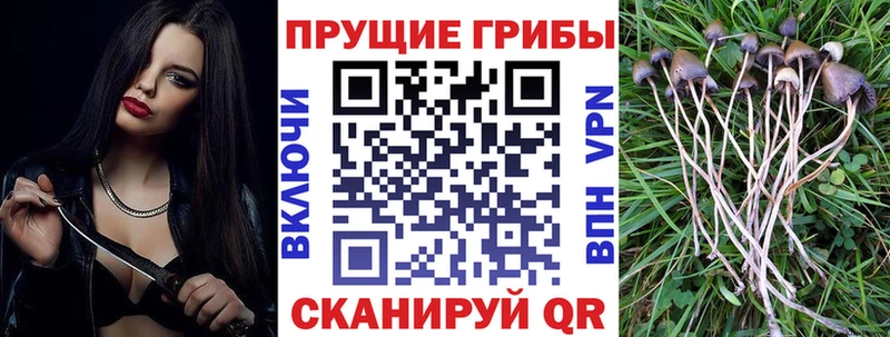 Галлюциногенные грибы GOLDEN TEACHER  мега ТОР  Собинка  купить  цена 